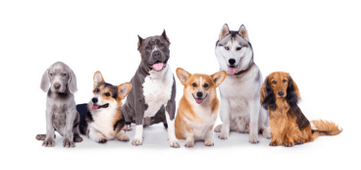 Protected: Re-Design: Email&nbsp;Blast